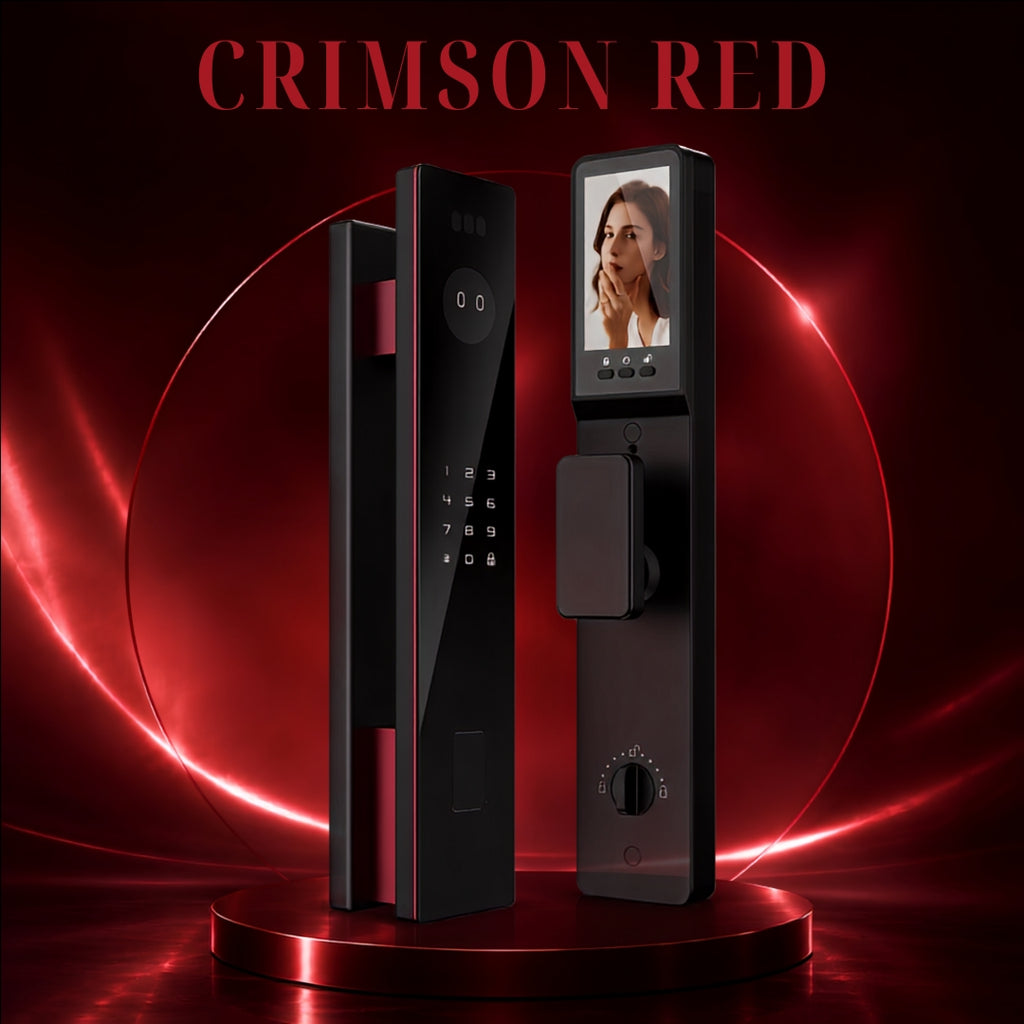 D20-AI 3D Facial & Palm Vein Recognition Smart Lock