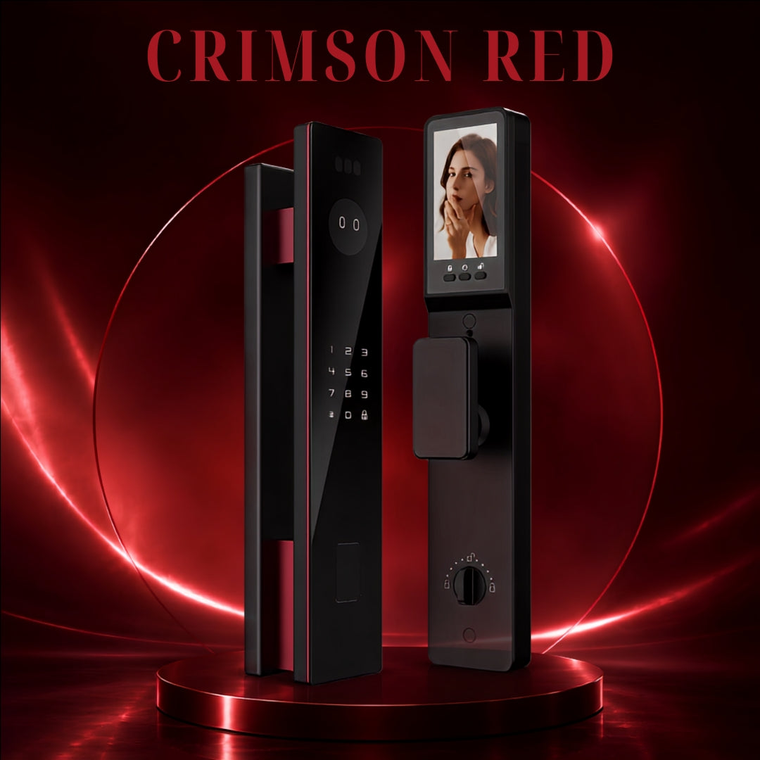 D20-AI 3D Facial & Palm Vein Recognition Smart Lock