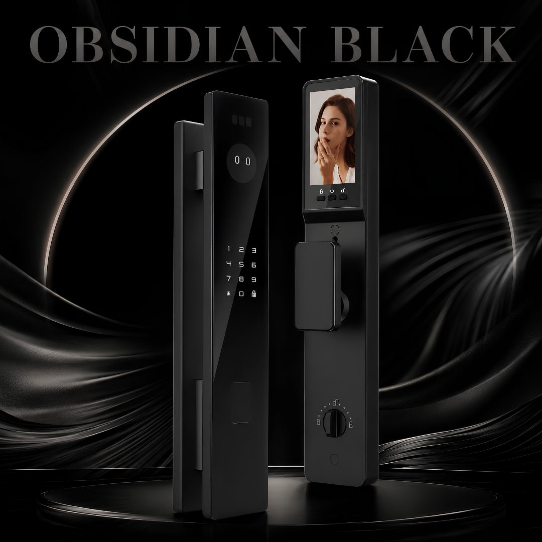 D20-AI 3D Facial & Palm Vein Recognition Smart Lock