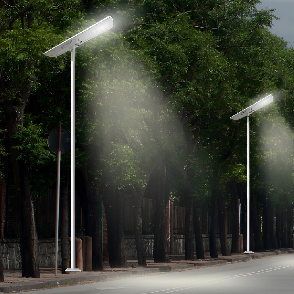 Intelligent Solar Street Light