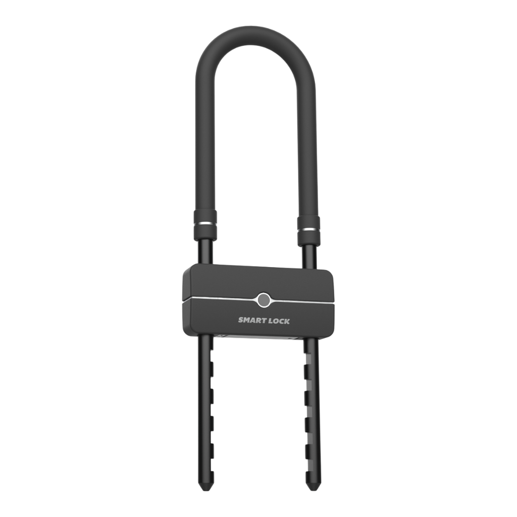 D658 Fingerprint Smart Forklock