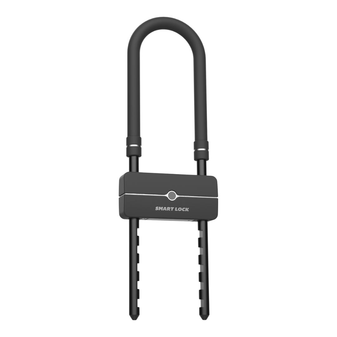 D658 Fingerprint Smart Forklock