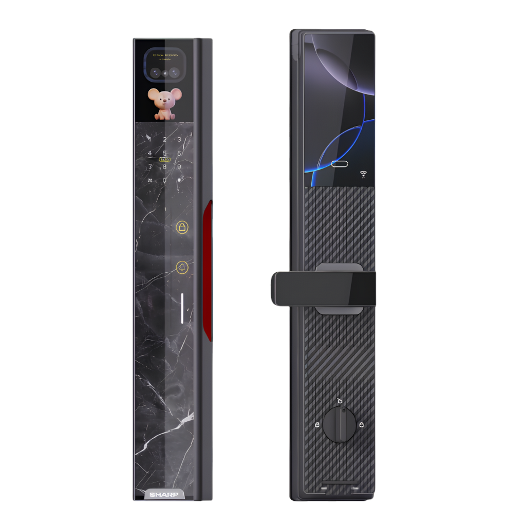 R8-FV-AI MARBLE SMART LOCK