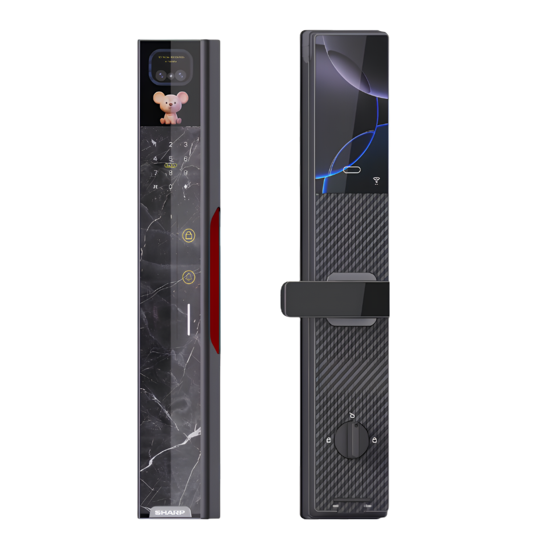 R8-FV-AI MARBLE SMART LOCK